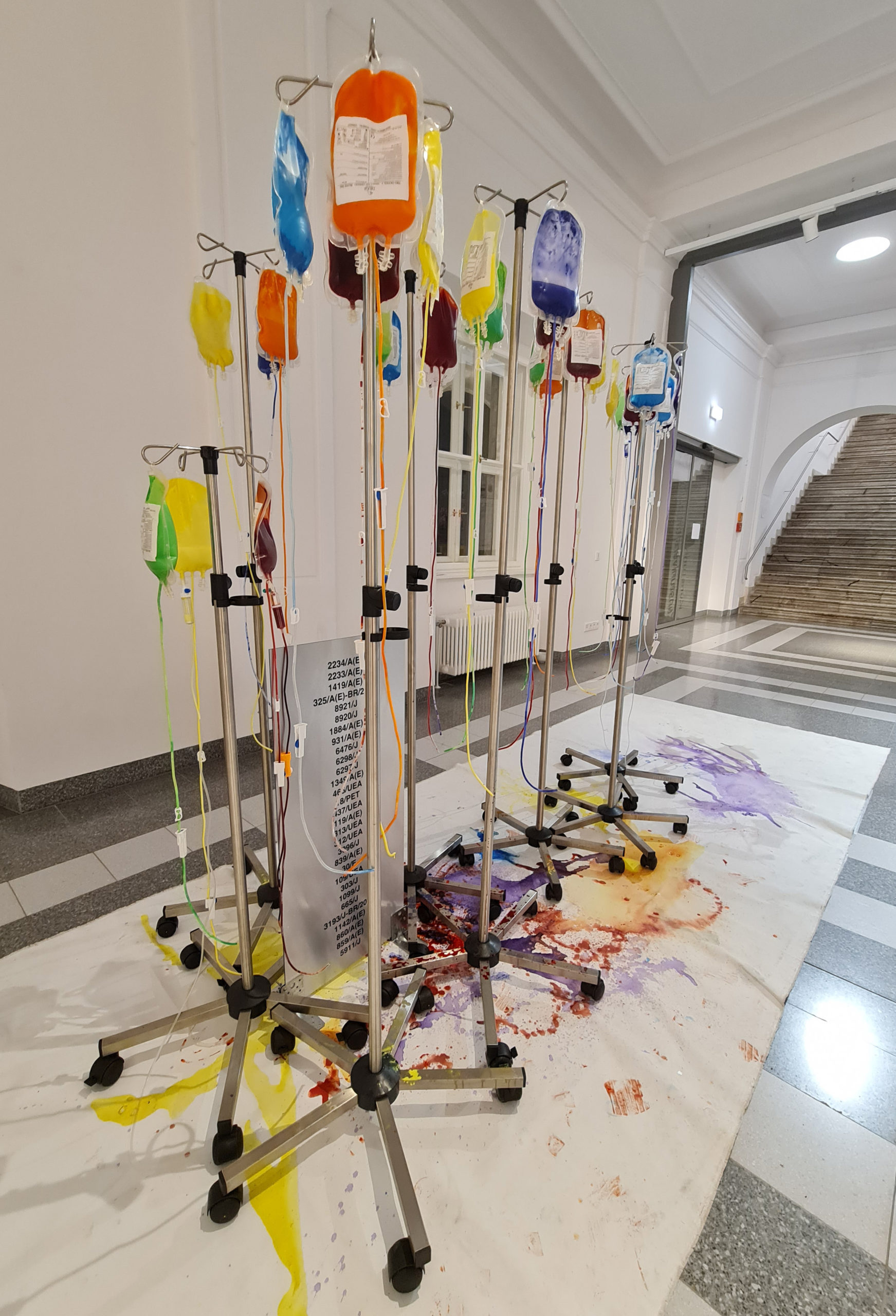 Blut Hirn Schranke