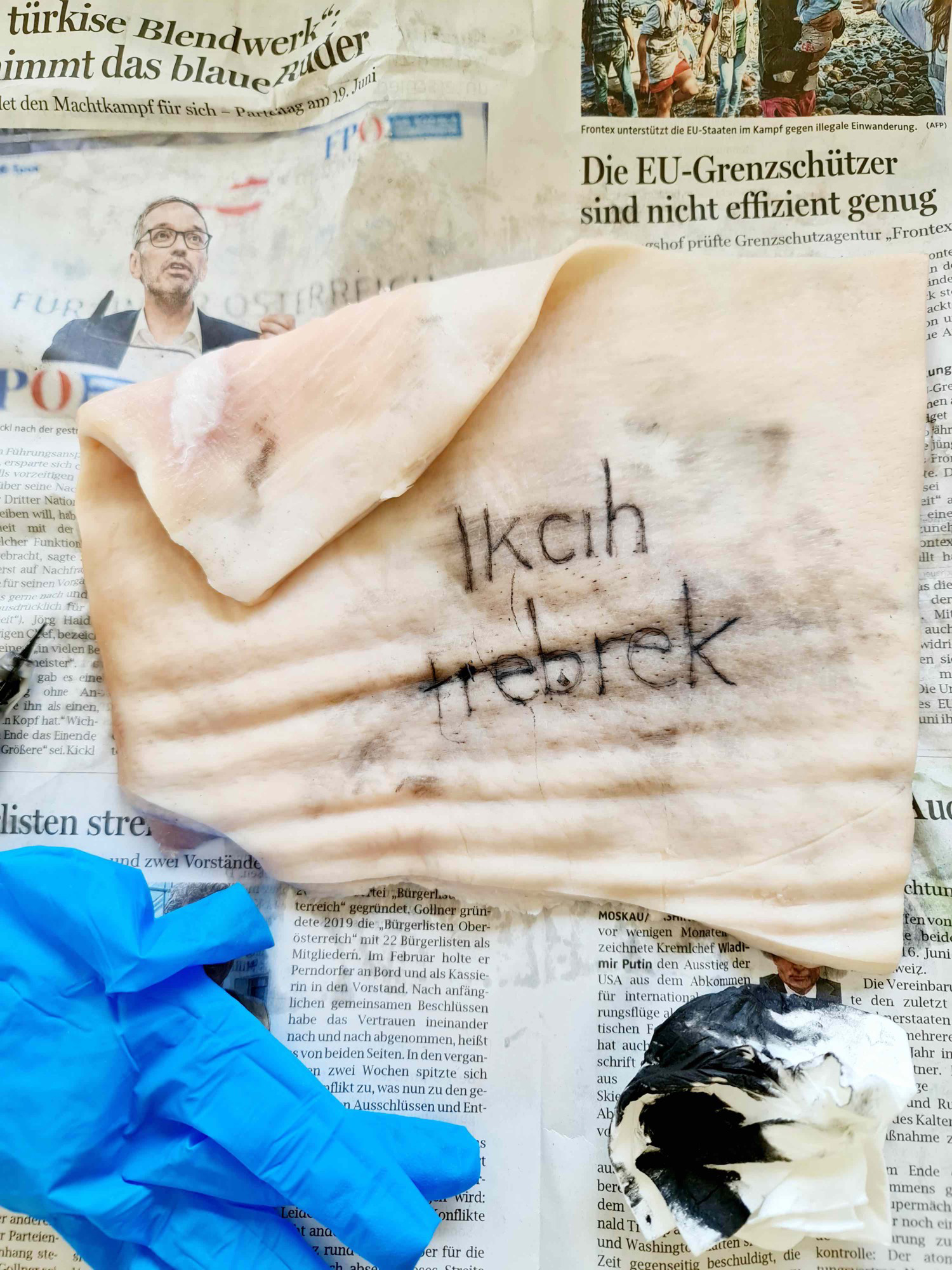 kerbert hickl. keine nazisau